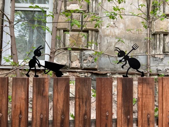 Необычный арт-объект с муравьями появился в Нижнем Новгороде - фото 2