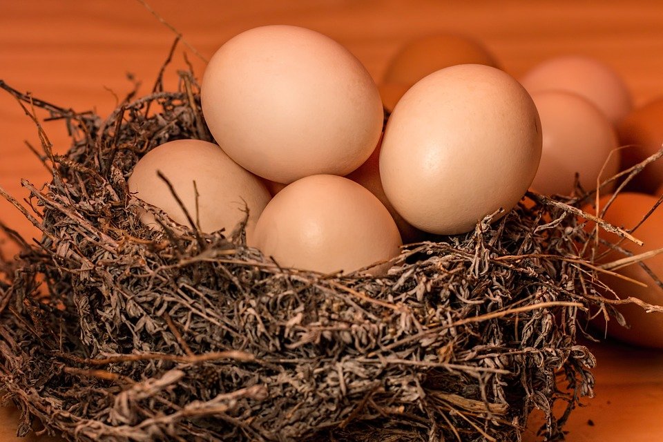Росконтроль назвал марки куриных яиц с антибиотиками - фото 2
