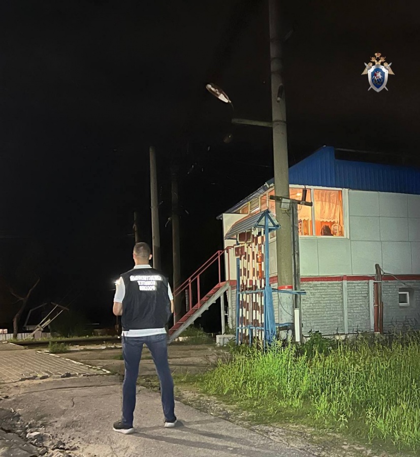 «Ласточка» насмерть сбила пенсионера в Нижегородской области