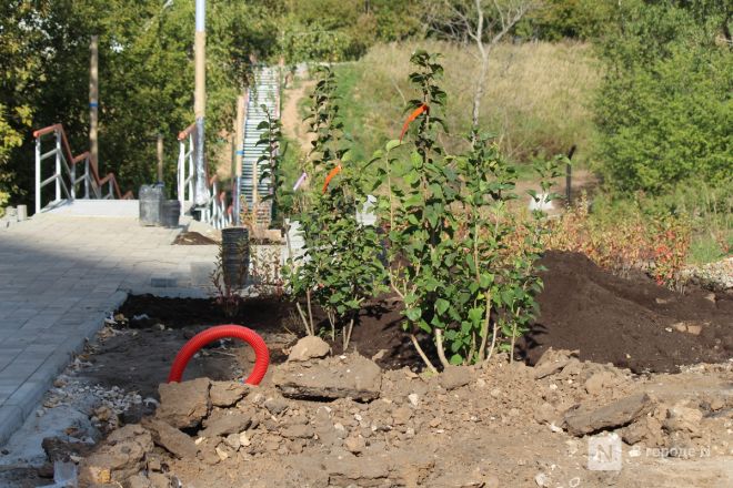 Сроки благоустройства нижегородского Лопатинского оврага снова сорваны - фото 5