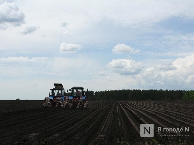 Сев основных сельхозкультур завершился в Нижегородской области - фото 1