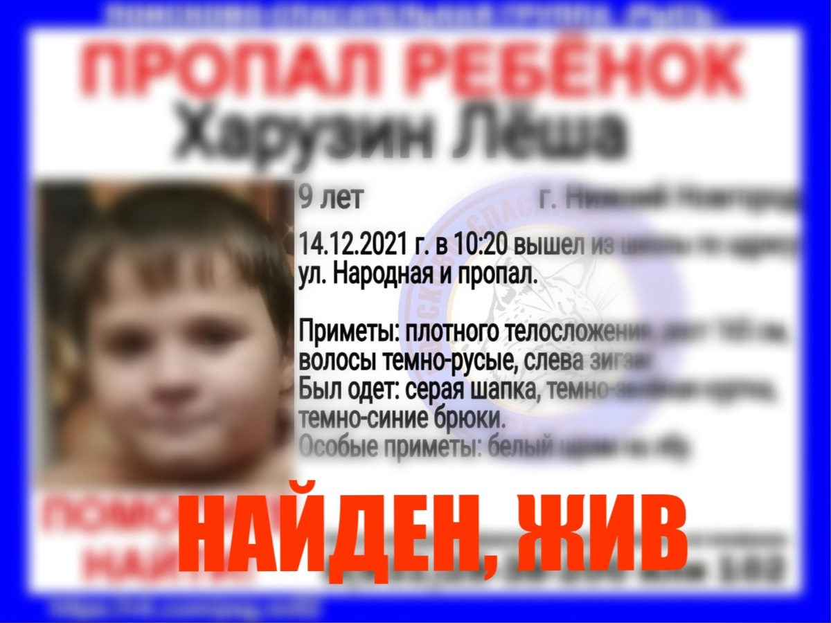 9-летнего мальчика нашли живым в Нижнем Новгороде - фото 1