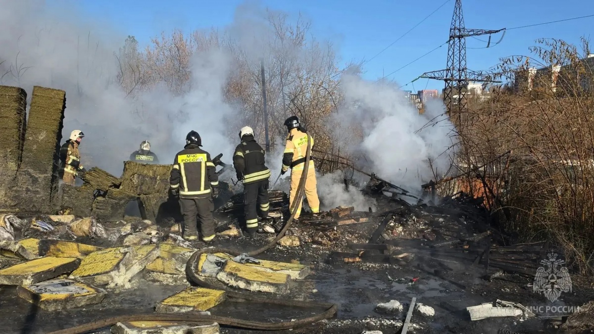Опубликованы фото с места пожара в магазине стройматериалов в Нижнем Новгороде - фото 2