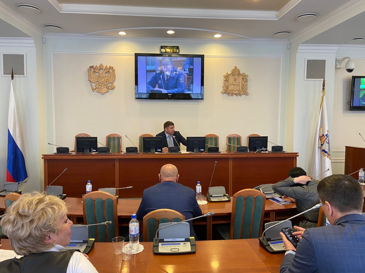 Депутаты обсудили рыбоохранные мероприятия на территории Нижегородской области в весенний нерестовый период 2022 года - фото 1