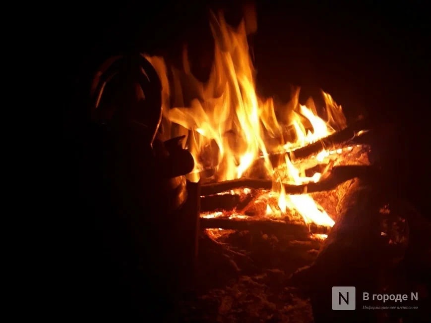 Пять лесных пожаров случилось в Нижегородской области за сутки