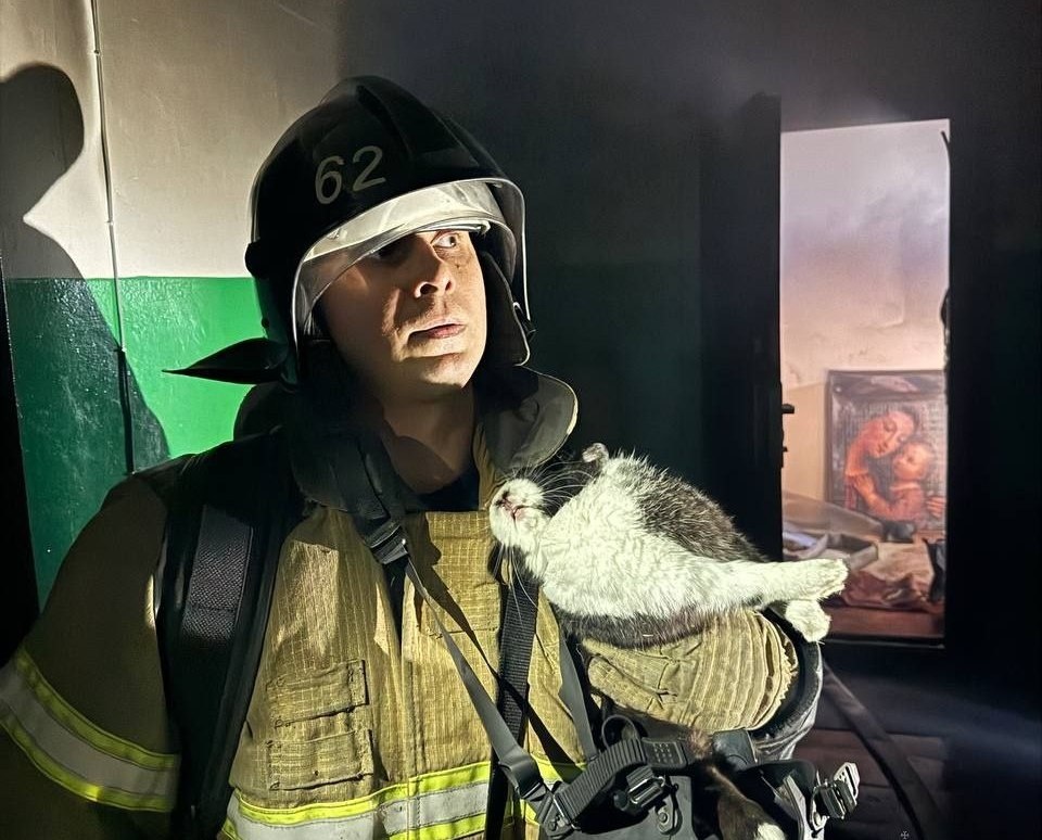 Кролика и его хозяйку спасли на пожаре в Дзержинске - фото 1