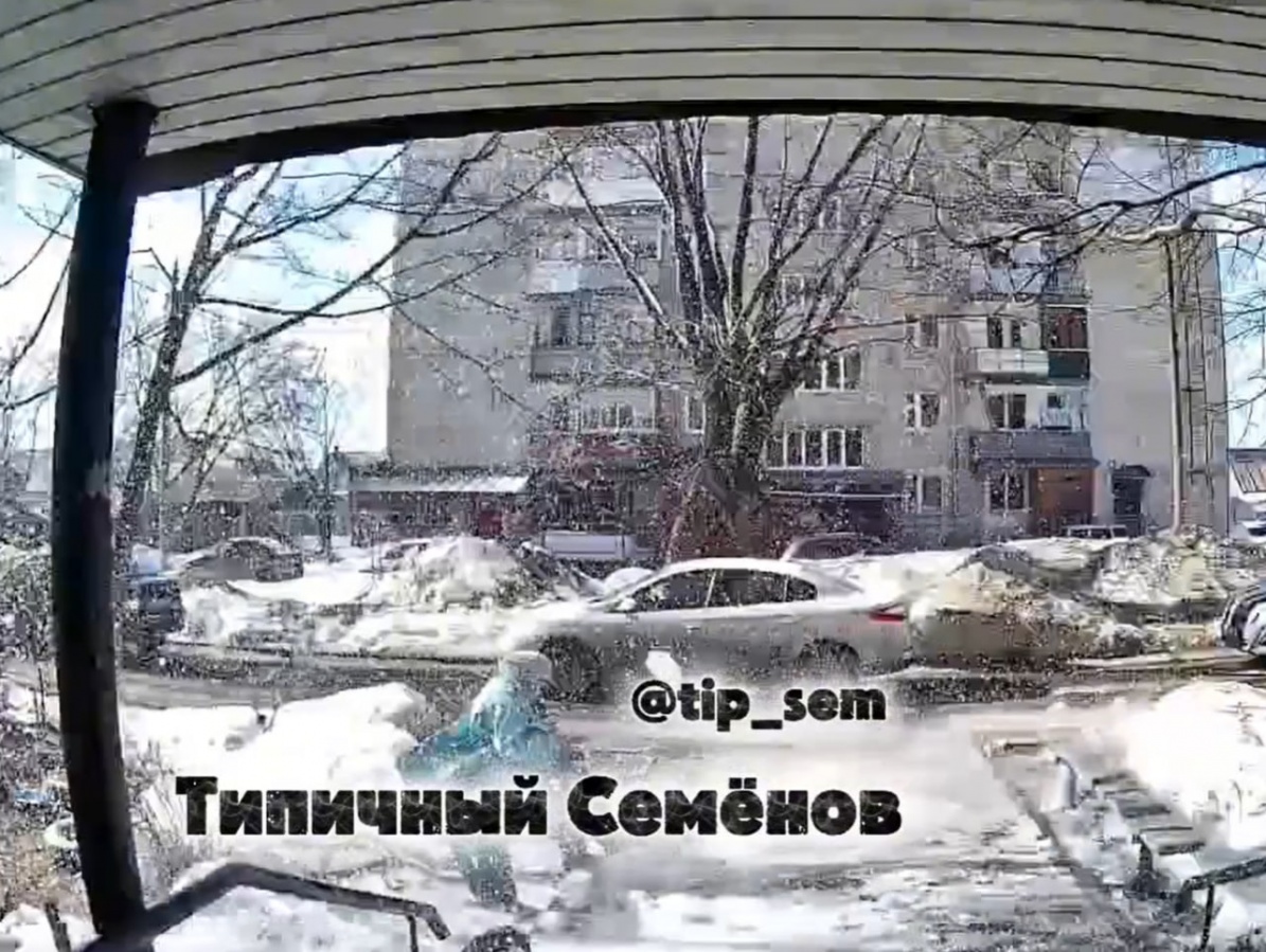 Снег с крыши рухнул на женщину с кошкой в Нижегородской области - фото 1