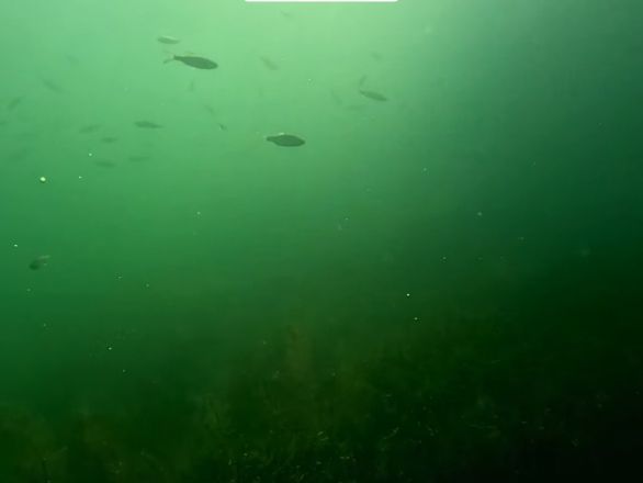 Захватывающие кадры со дна ледяного озера Ключик показали нижегородцам - фото 6