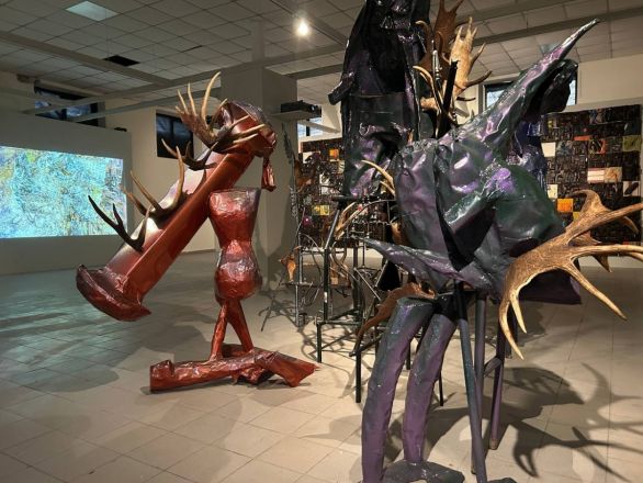 «Кожа Земли»: в Нижнем Новгороде проходит первая международная ЭкоБиеннале - фото 3