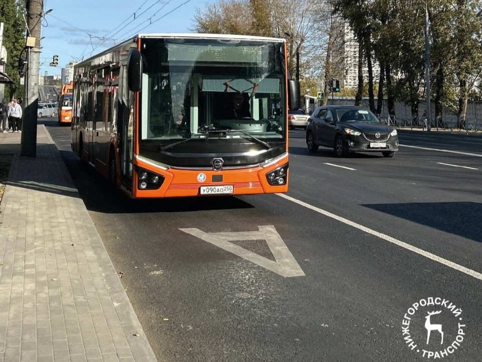 Новая выделенка появилась на Московском шоссе в Нижнем Новгороде - фото 1