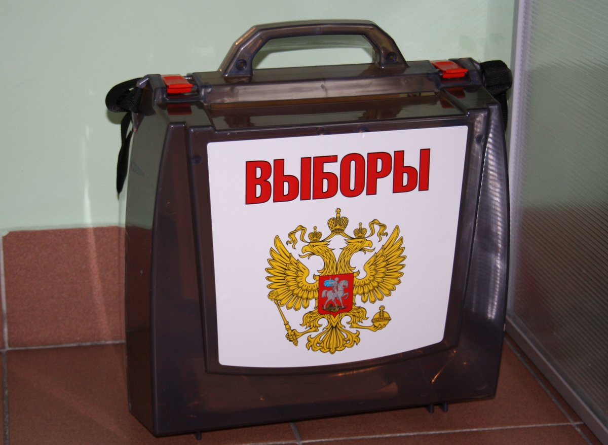 Дума Нижнего Новгорода утвердила дату дополнительных выборов - фото 1
