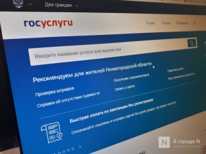 Нижегородцы смогут проголосовать за депутатов дистанционно