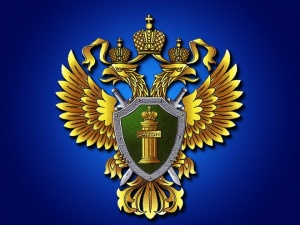 Четыре сайта по продаже санкционной продукции обнаружила нижегородская транспортная прокуратура