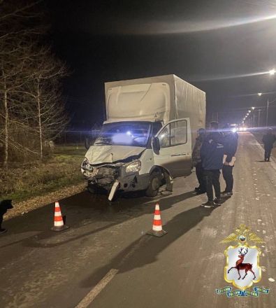 Смертельное ДТП с мотоблоком в Нижегородской области обернулось уголовным делом - фото 1