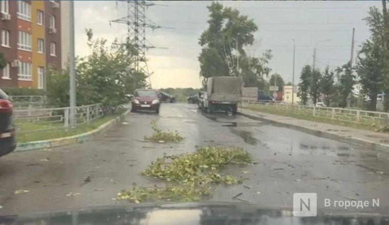 Опубликованы фото последствий урагана в Нижнем Новгороде - фото 2