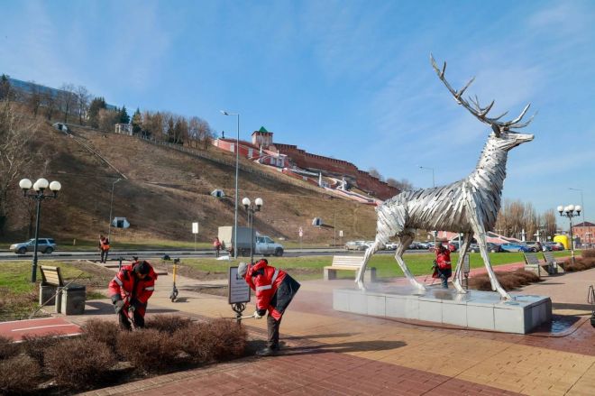 Более 100 тысяч кубометров мусора вывезли из Нижнего Новгорода - фото 3