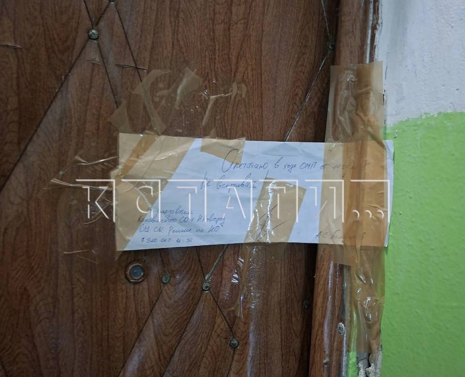 Трупный запах и опарыши атаковали многоэтажку в Нижнем Новгороде - фото 1