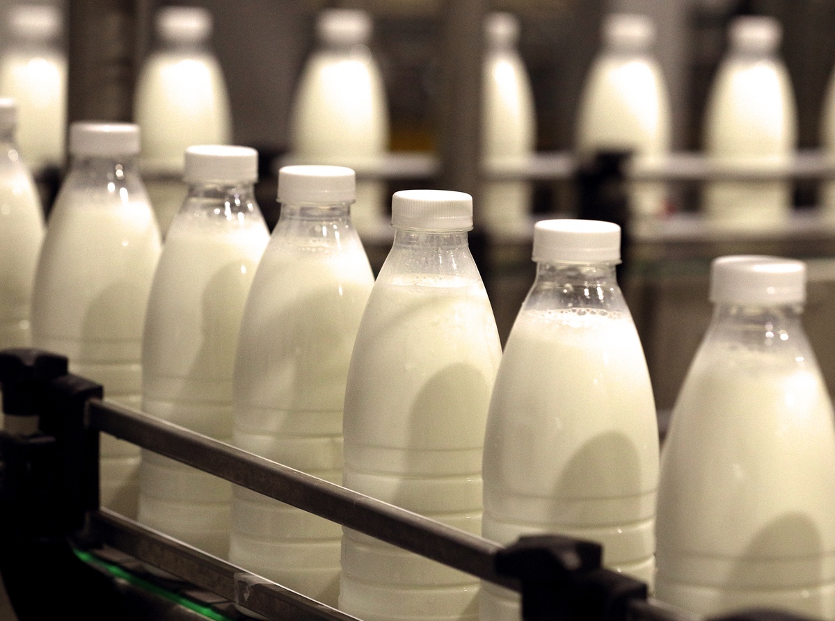 Выпуск молочной продукции увеличился в Нижегородской области - фото 1