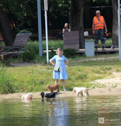 Спасение от адского пекла: фоторепортаж с пляжей Нижнего Новгорода - фото 39