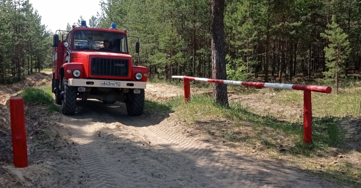 Синоптики прогнозируют изменение уровня пожароопасности в Нижегородской области - фото 1