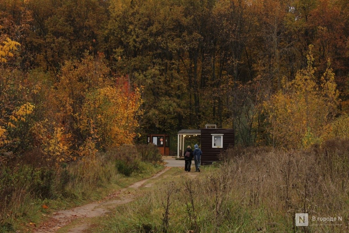 Каким будет октябрь в Нижнем Новгороде: публикуем прогноз погоды - фото 1