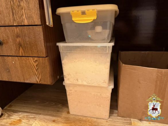 Крупную нарколабораторию накрыли в исторической части Нижнего Новгорода - фото 9