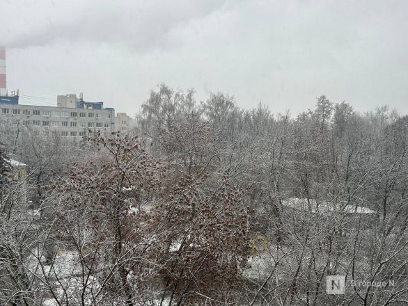 Первый снег выпал в Нижнем Новгороде 15 ноября: публикуем фото - фото 4