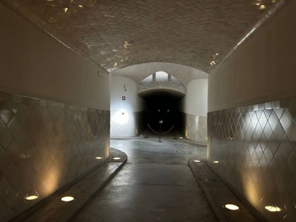 Морские гады, руины и потрясающий климат: вся правда о путешествии Барселона &mdash; Рим - фото 18