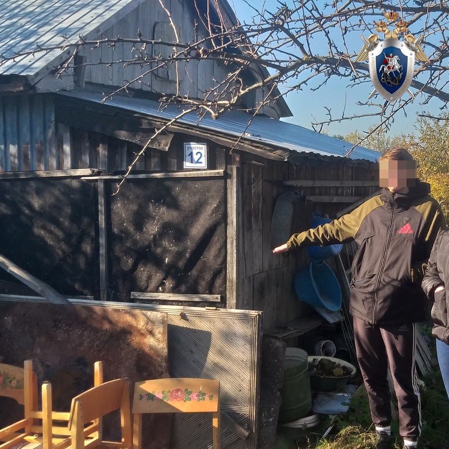 Трое нижегородских подростков предстали перед судом за кражи из дачных домов