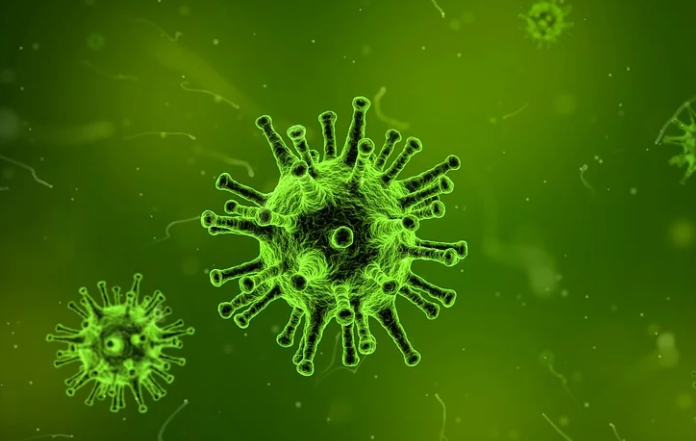 Смертельный китайский коронавирус в нижегородском регионе не обнаружен - фото 1